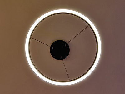 Ring Pendant Lighting